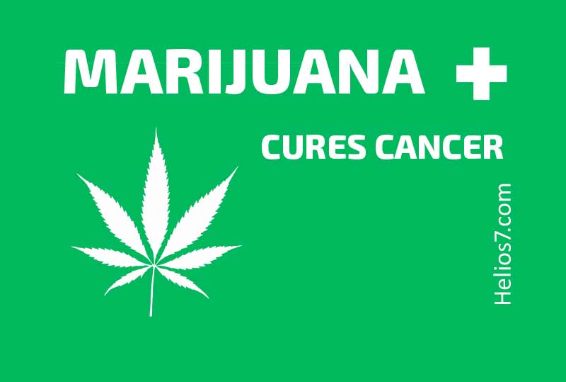 marijuana cancer cure