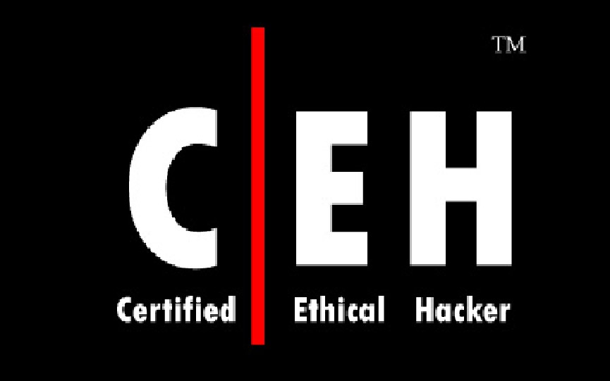 certified ethical hacker