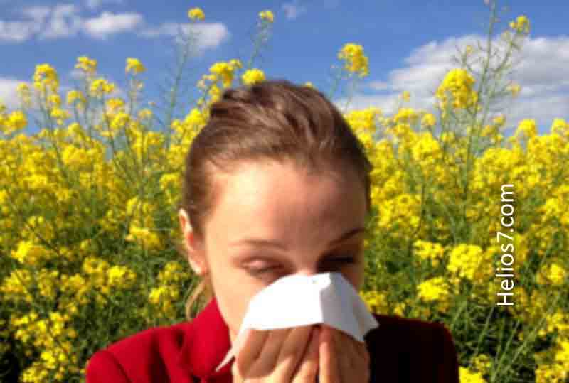 What are the Most Common Causes of Allergies in Humans