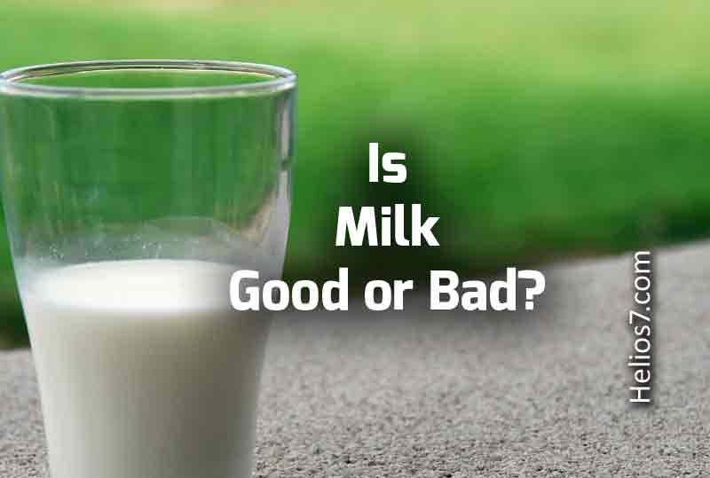Is Milk Good or Bad for your Health ?