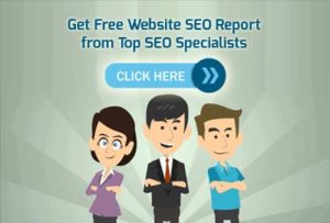 seo specialists india