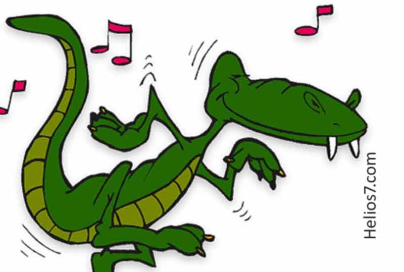 music croc