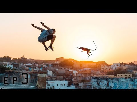 parkour monkeys