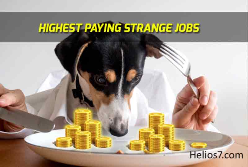 strange highest paying jobs