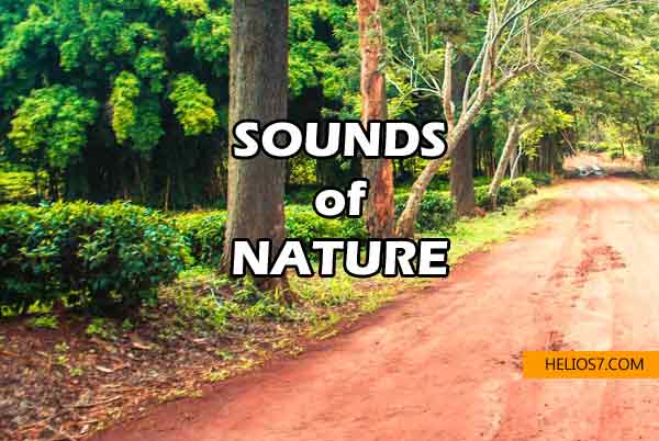 sounds of nature