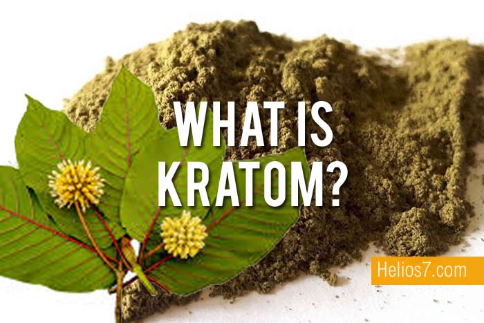 kratom meaning