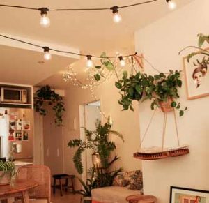 indoor plant stand