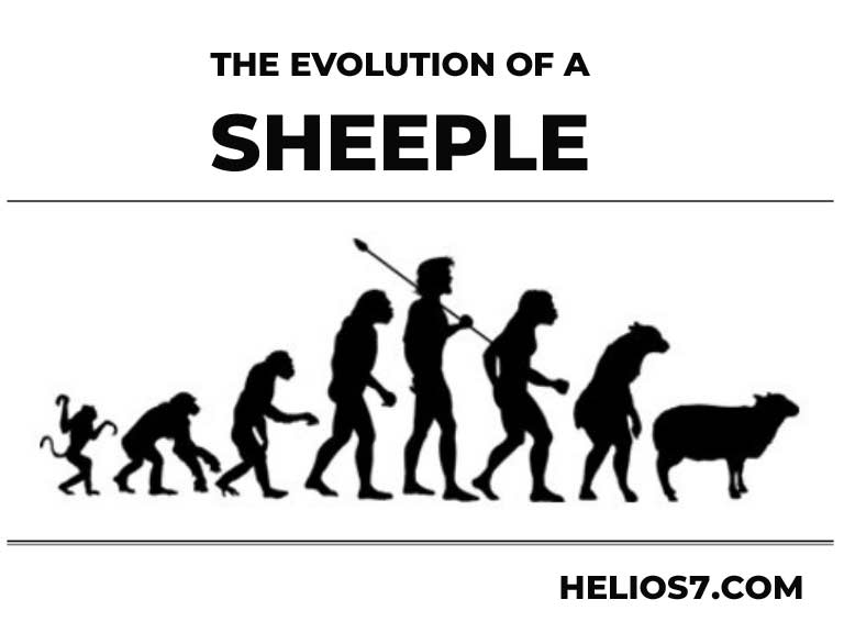 evolution of a sheeple