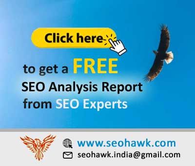 Seohawk Banner