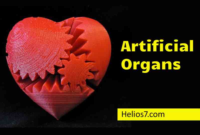 Artificial Lungs